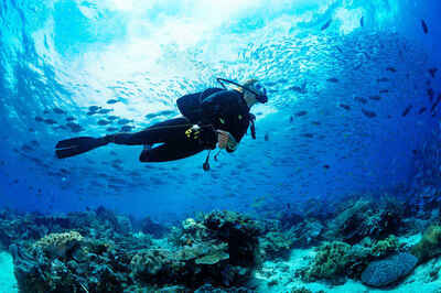 Goa To Pondicherry: 5 Top Places To Go Scuba Diving In India