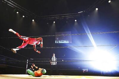 World wrestling chief fired after Olympic snub