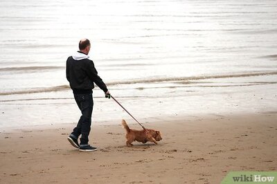 How to Measurably Improve Your Quality of Life