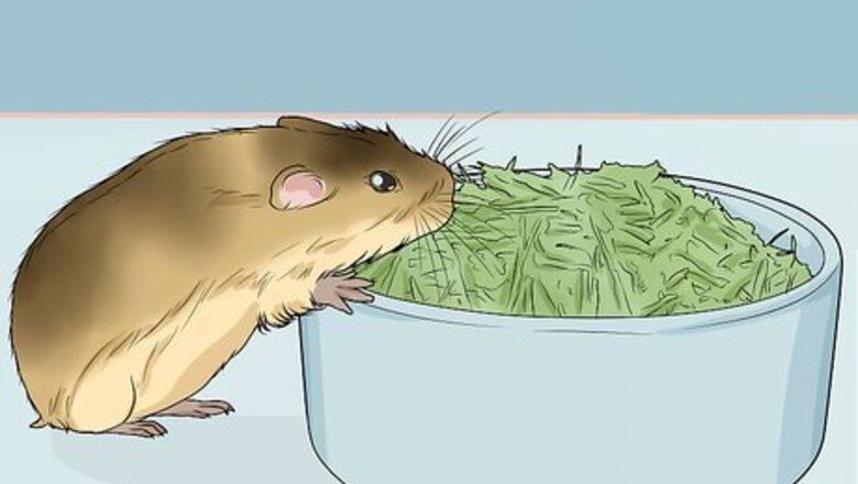 How to Care for Pet Lemmings