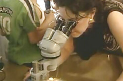 New ecosystem discovered in Israel