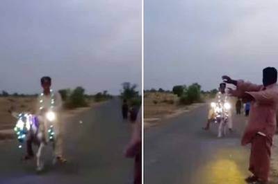 Watch: Boy's Donkey Ride With Curtain Lights Leaves Internet Amused
