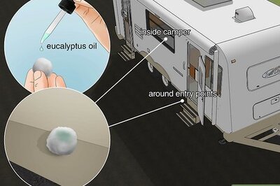 How to Keep Mice Out of a Camper