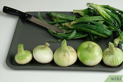 How to Preserve Onions