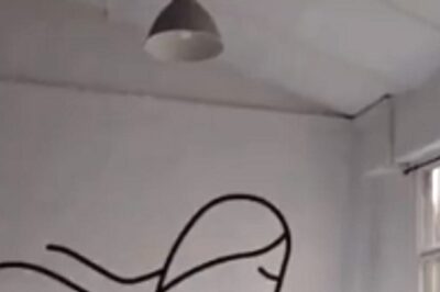 Heart-Shaped Bruno’s Swing Melts Hearts On Social Media