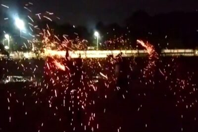 In Tamil Nadu's Thanjavur, Youths Celebrate Karthigai Deepam Burning Movali From Palm Trees