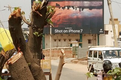 Bengaluru Agency Poisons 17 Trees For Mobile Ad Hoarding, Booked