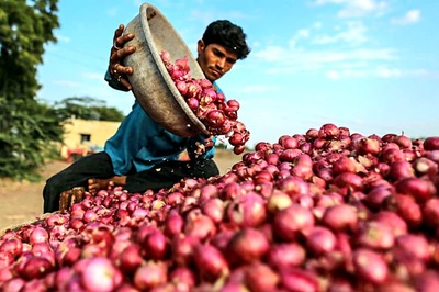 Union Cabinet Approves Import of 1.2 Lakh Tonnes of Onions, Says Nirmala Sitharaman