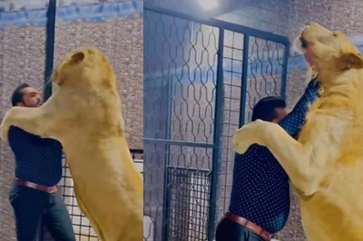 Pakistan Influencer Shares Affectionate Hug With Lioness, Not Everyone On Internet Is Happy About It