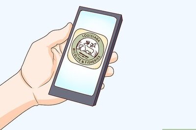 How to Become a Falconer