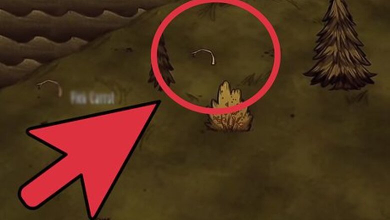 How to Survive in Don't Starve