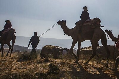 'Terror suspects' caught in Andhra turn out to be Iranian tourists