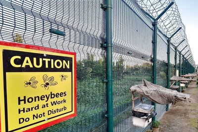 Bees At Work at Indo-Bangladesh Border: BSF Trains Men In Beekeeping To Avert Intrusion Bids