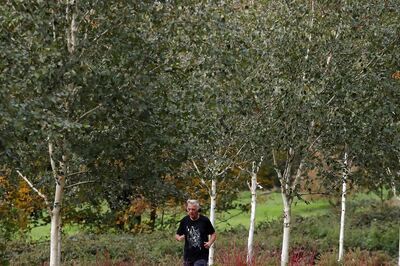 Decay of Heaviest Oxygen Isotope Casts Shadow on Physicists' Understanding of Nuclear Stability