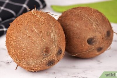 How to Carve a Coconut Shell