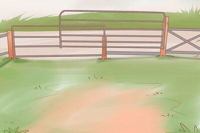 How to Care for Pygmy Goats