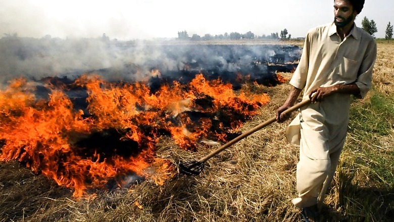 Pakistan is Better than India When it Comes to Controlling Crop Burning