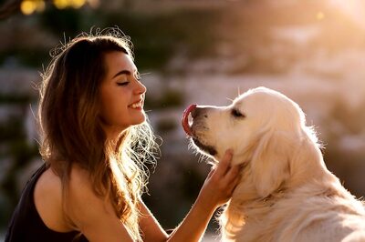 5 Techniques to Help Your Anxious Dog Live a Happier Life