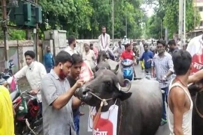 Pappu Yadav’s JAP Takes Out Buffalo March in Patna to Protest Against Fuel Price Hike