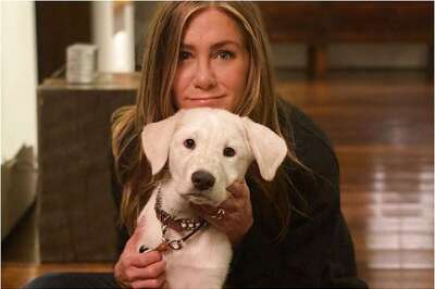 Jennifer Aniston Poses with Her Rescue Puppy Lord Chesterfield for Cutest Thanksgiving Post