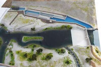 Nevada Dam Changes Give Rare Trout New Life 115 Years Later