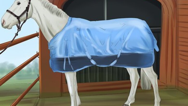 How to Care for Your Horse In the Winter