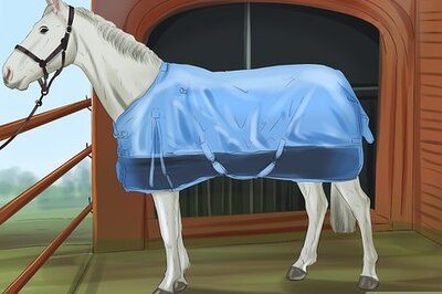How to Care for Your Horse In the Winter