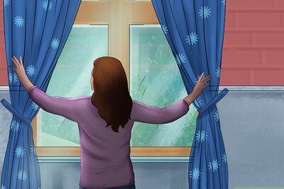 How to Give Your Cat Space to Sunbathe