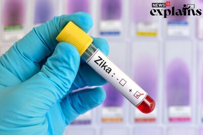 Mumbai Sees Second Zika Virus Infection: All About Symptoms, High-risk Groups, Prevention & Cure
