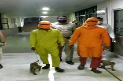 Two Youths Held in South Delhi Locality for Robbing People Using Monkeys
