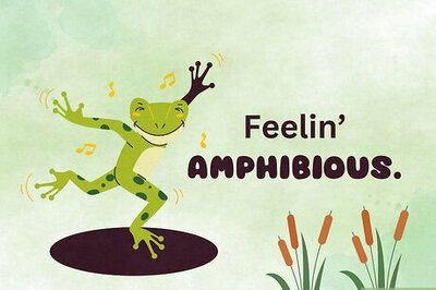 70+ Un-Frog-Gettable Frog Puns to Croak Up Your Friends