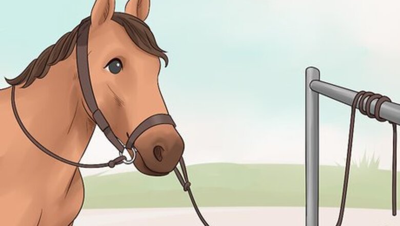How to Put a Saddle On