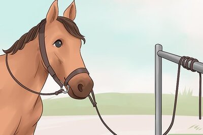 How to Put a Saddle On