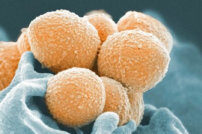 Japan Sees Spike In Disease Caused By 'Rare Flesh-Eating Bacteria' That Can Kill Within 48 Hours