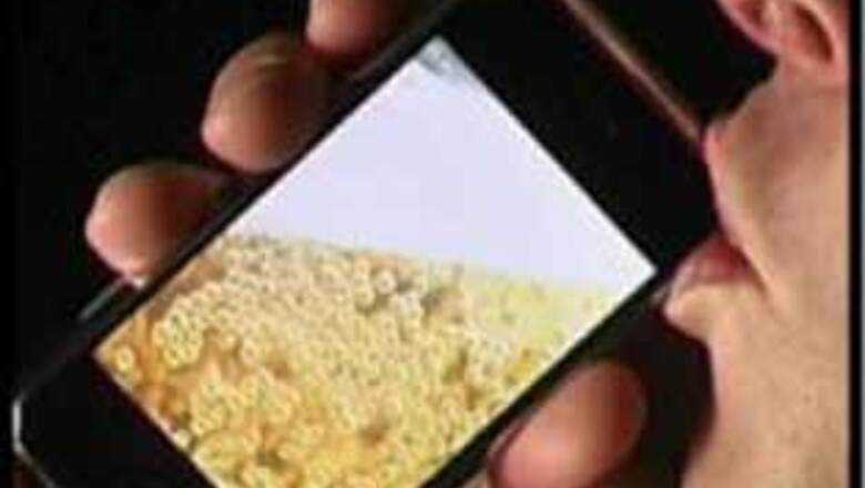 iPhone sales up 123 pc, Apple profits up $1.21 bn