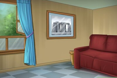 How to Build an Indoor Aquatic Turtle Pond