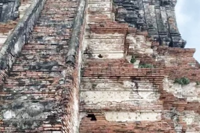 Optical Illusion: Spot The Hidden Cat In Ancient Ruins In 20 Seconds