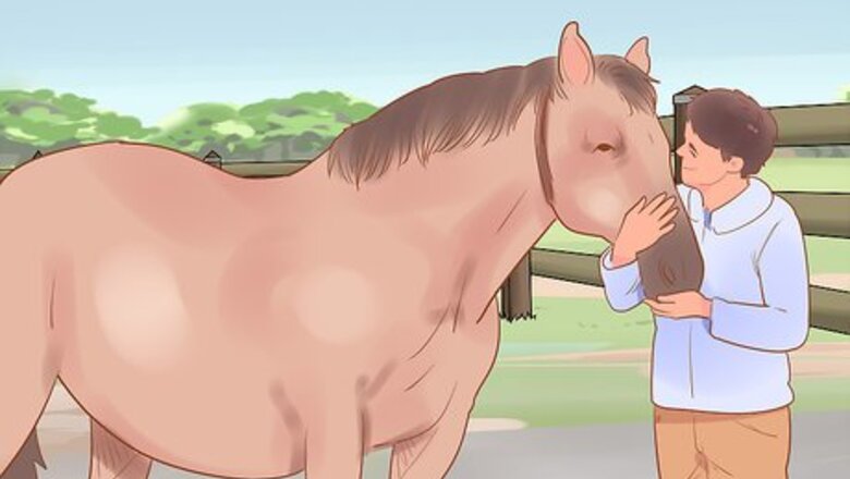 How to Teach a Horse to Ride Tackless