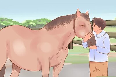 How to Teach a Horse to Ride Tackless