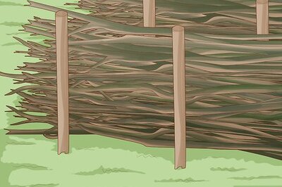 How to Make Willow Furniture