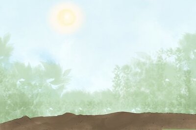 How to Grow Chrysanthemums