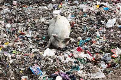 East Delhi Stinks As Municipal Sanitation Workers go on Indefinite Strike