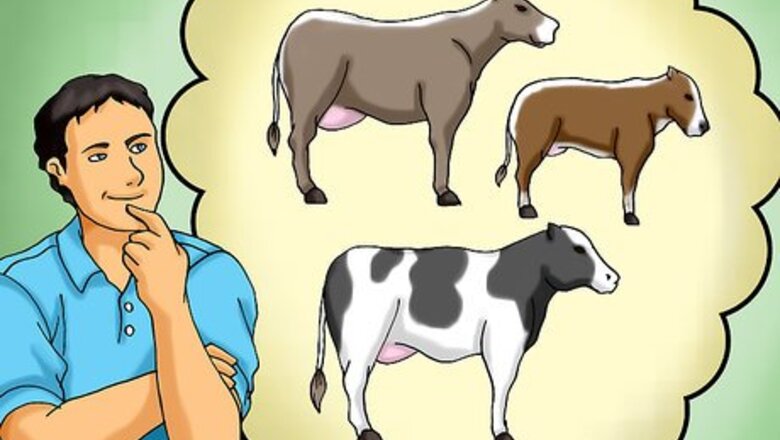 How to Choose a Good Dairy Cow Breed