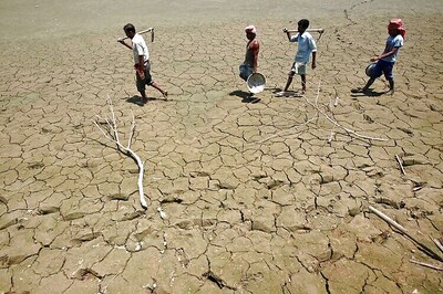 SC slams Centre on inaction in drought-hit areas, says government cannot turn a blind eye