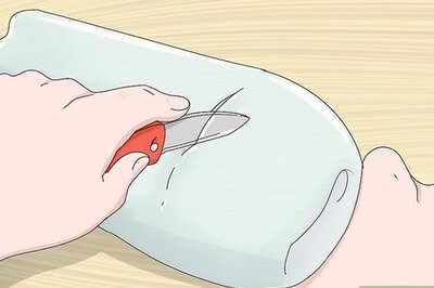 How to Make a Minnow Trap