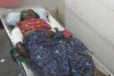 65-year-old Woman Mauled to Death by 15 Stray Dogs in Kerala