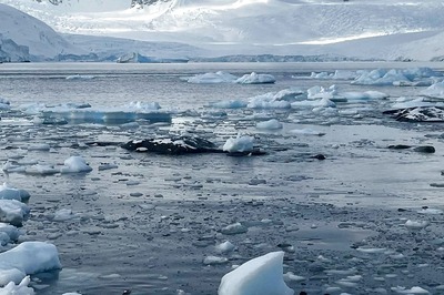 ‘It Rained for Hours’: 18 Indians on Antarctica Expedition Witness A Glimpse of Climate Change