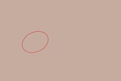 How to Draw a Cartoon Cat