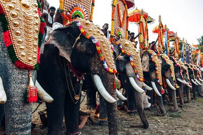 Thrissur Pooram 2021: Date, History, Significance and Celebrations