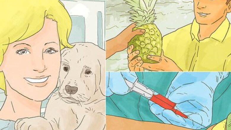 How to Study Toxicology
